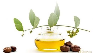 Simmondsia Chinensis Seed Oil trong mỹ phẩm là chất gì? Có tác dụng gì?